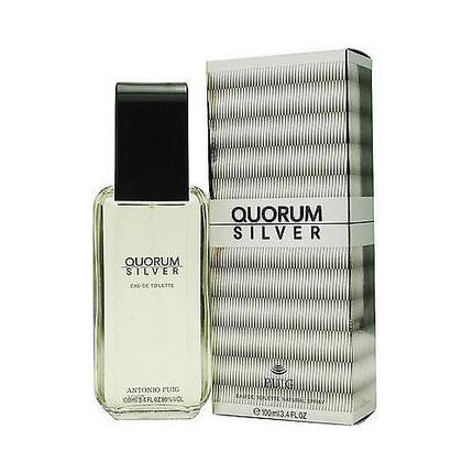 Quorum Silver by Antonio Puig 3.4 oz EDT for men